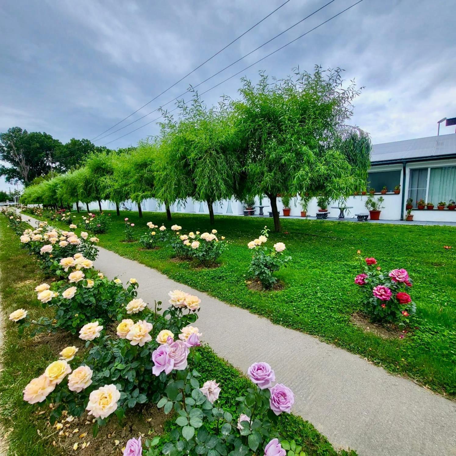 Royal Park Complex Otel Bascov Dış mekan fotoğraf